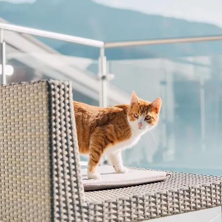 Mondseeblick Kg * Innerschwand