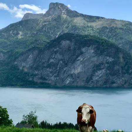 Апартаменты Mondseeblick Kg Innerschwand
