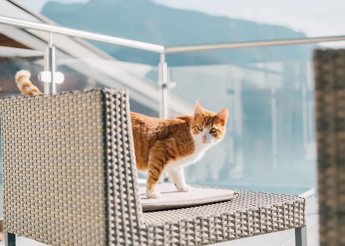 Mondseeblick Kg * Innerschwand