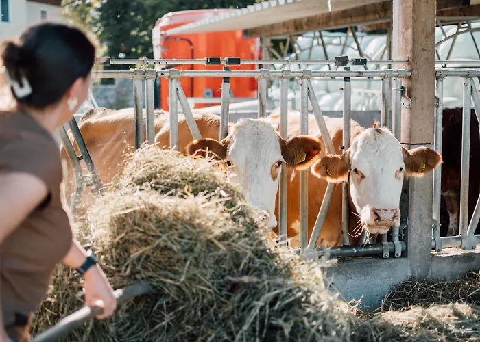 Mondseeblick Kg Innerschwand