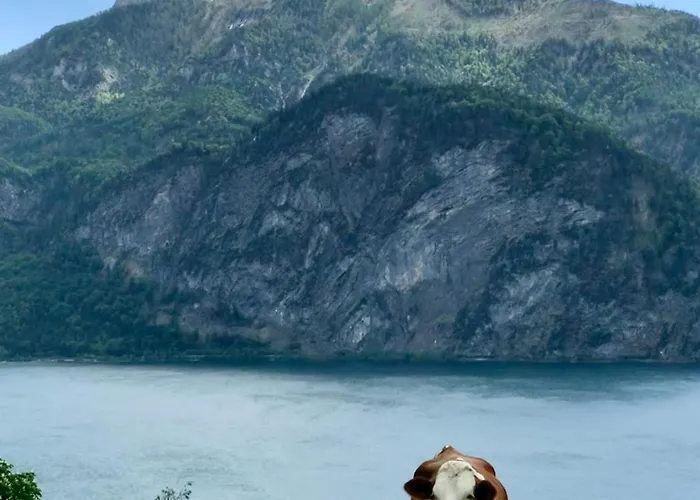 Lägenhet Mondseeblick Kg Innerschwand